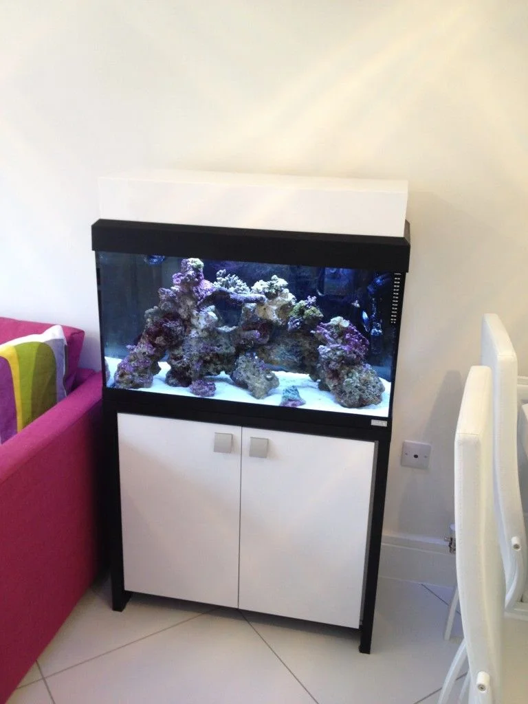 Custom, LED and Acrylic fish tank cleaning equipment Aquariums 